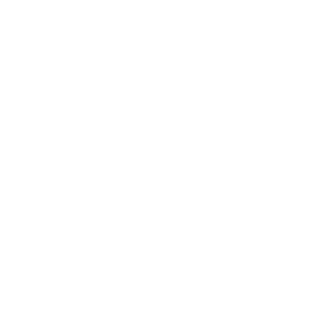 logo-bin