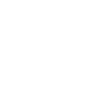 logo-stone