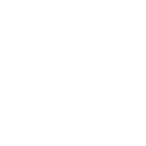 logo-ton